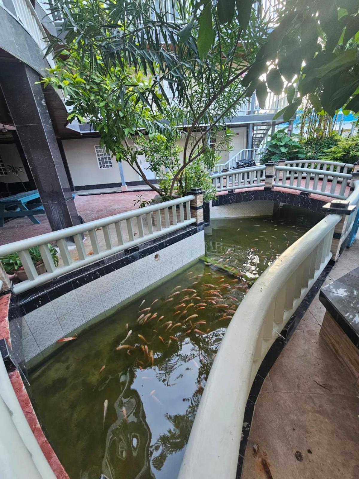 China Town Hotel Кайе Колкер Екстериор снимка